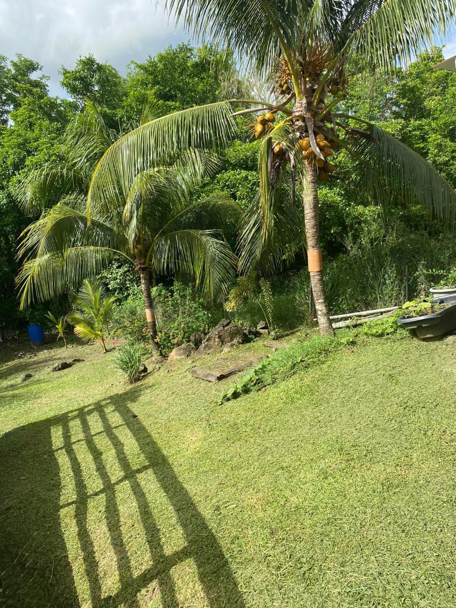 Residence Cannelle Les Trois-Ilets Luaran gambar